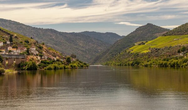 La vallée du fleuve Douro au Portugal : ornementation sur les collines d&rsquo;émeraude