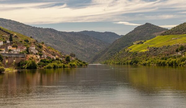 La vallée du fleuve Douro au Portugal : ornementation sur les collines d’émeraude